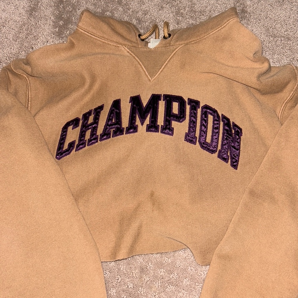 Cropped Champion Hoodie